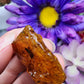 Copal Amber