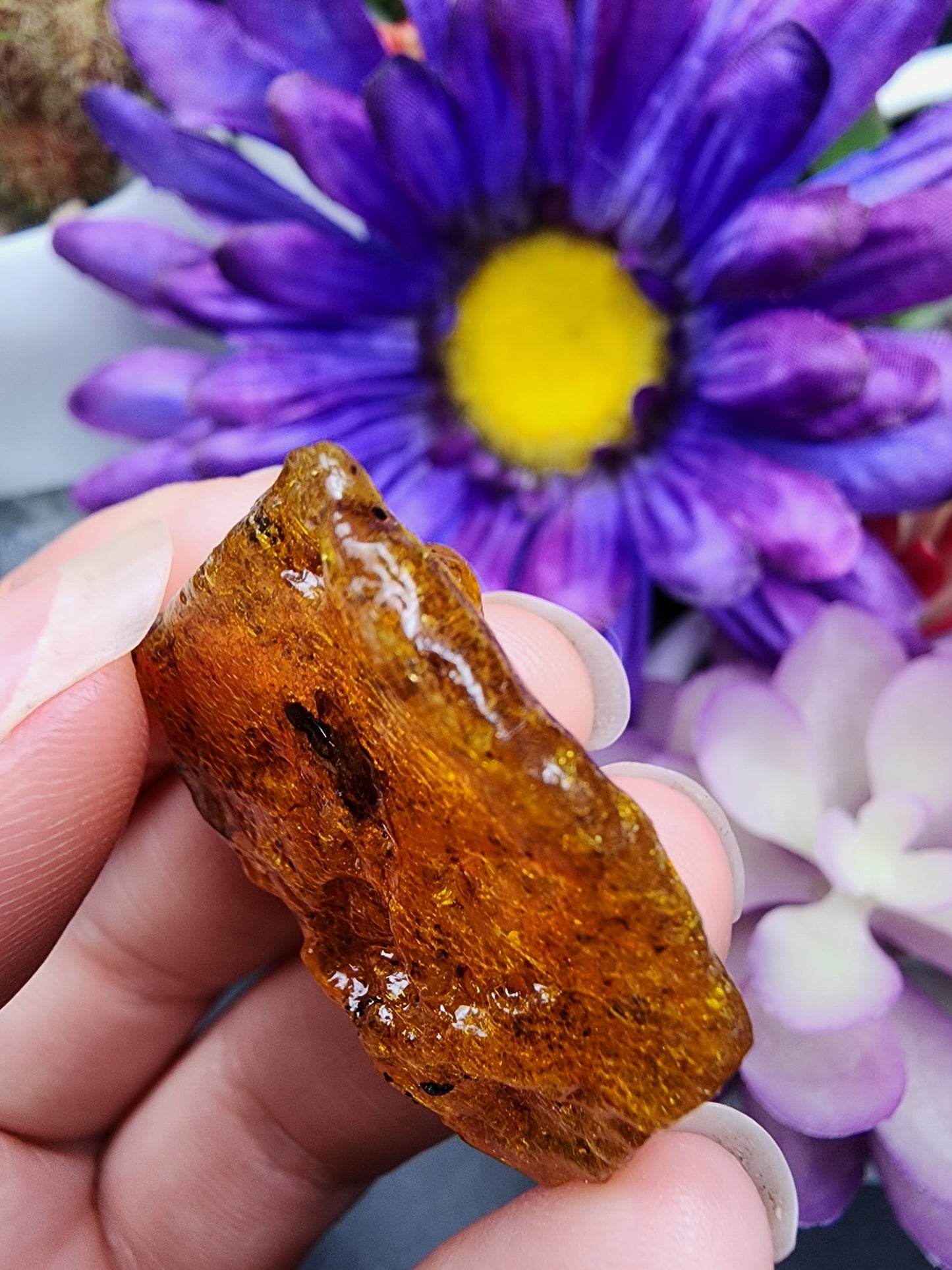 Copal Amber