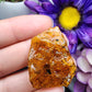 Copal Amber