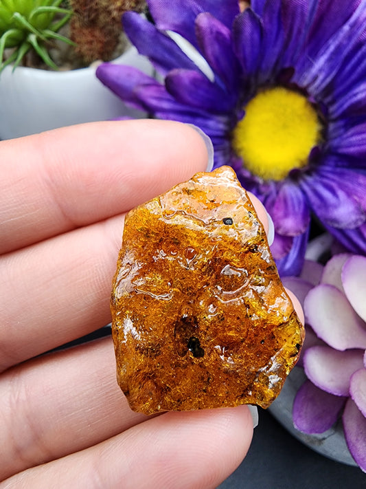 Copal Amber