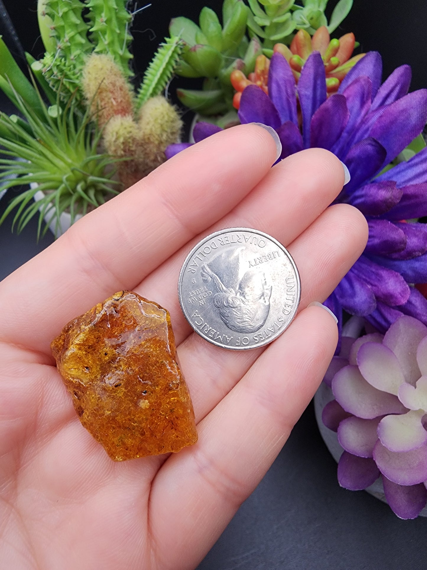 Copal Amber