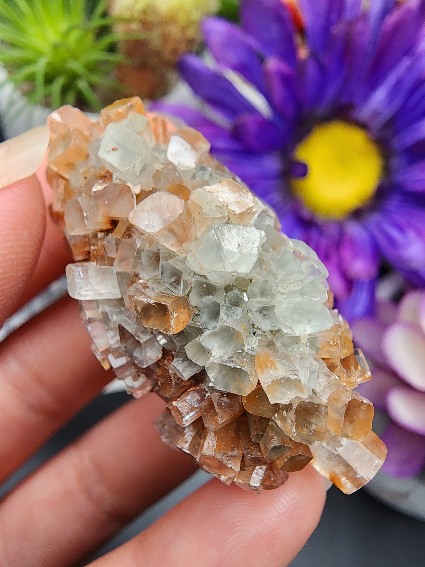 Aragonite Cluster