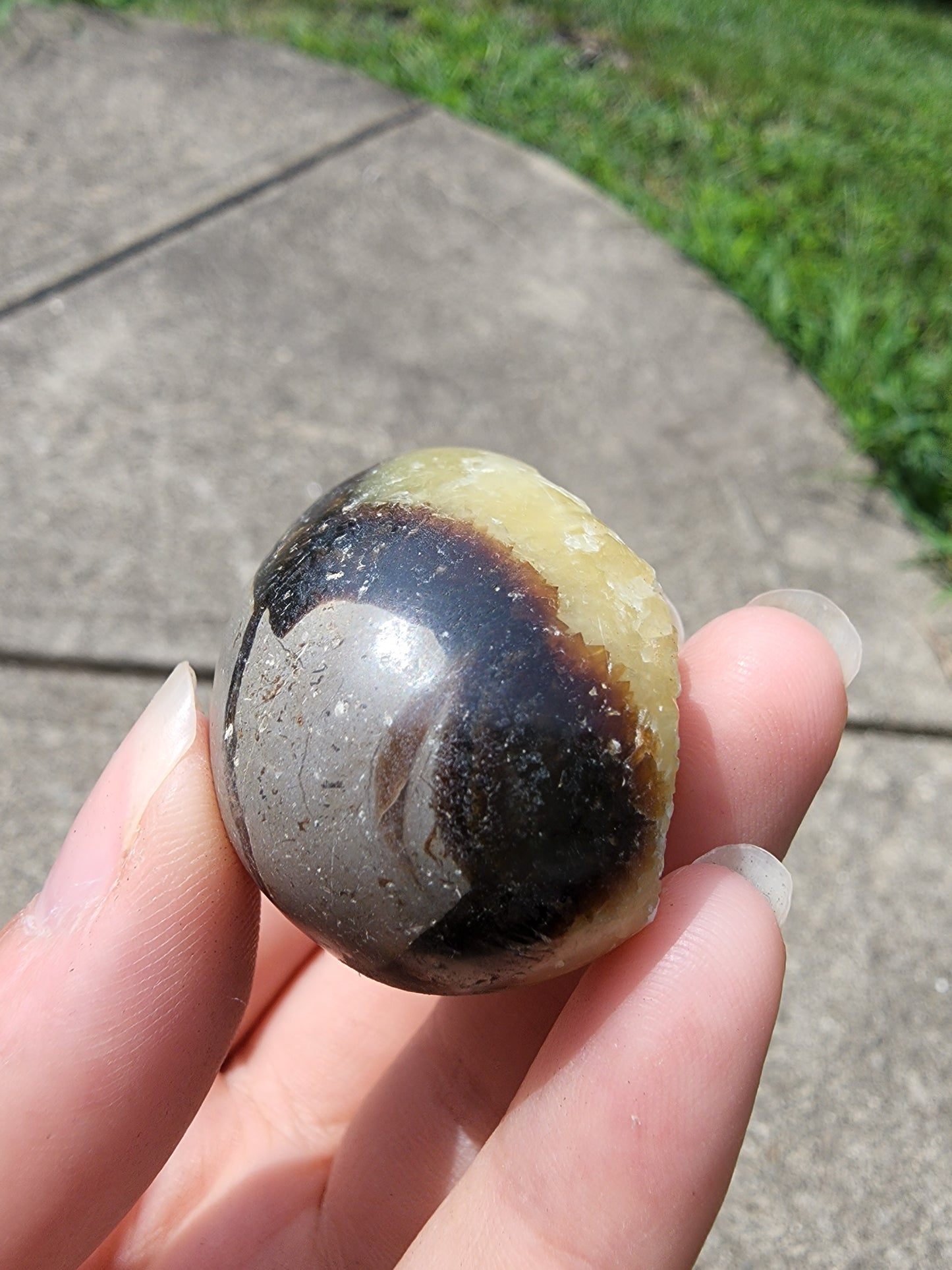 Septarian Egg