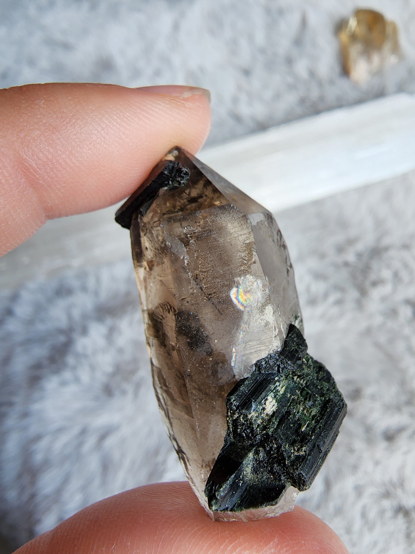 Smoky Quartz in Aegirine