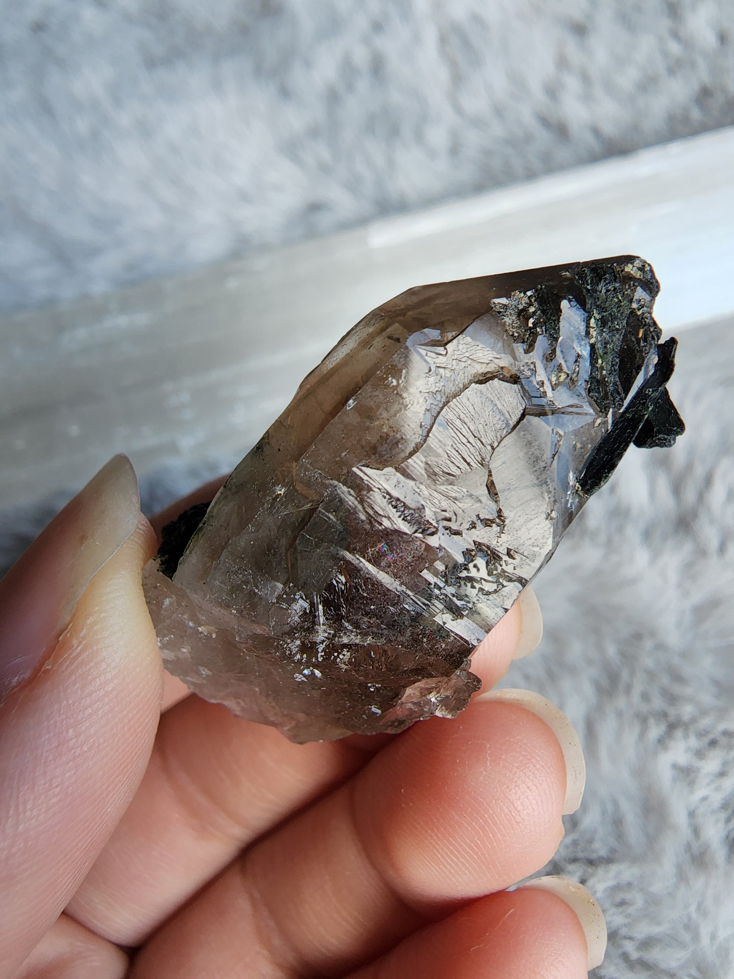 Smoky Quartz in Aegirine