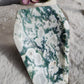 Tree Agate Coffin