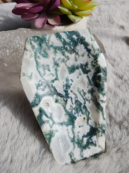 Tree Agate Coffin