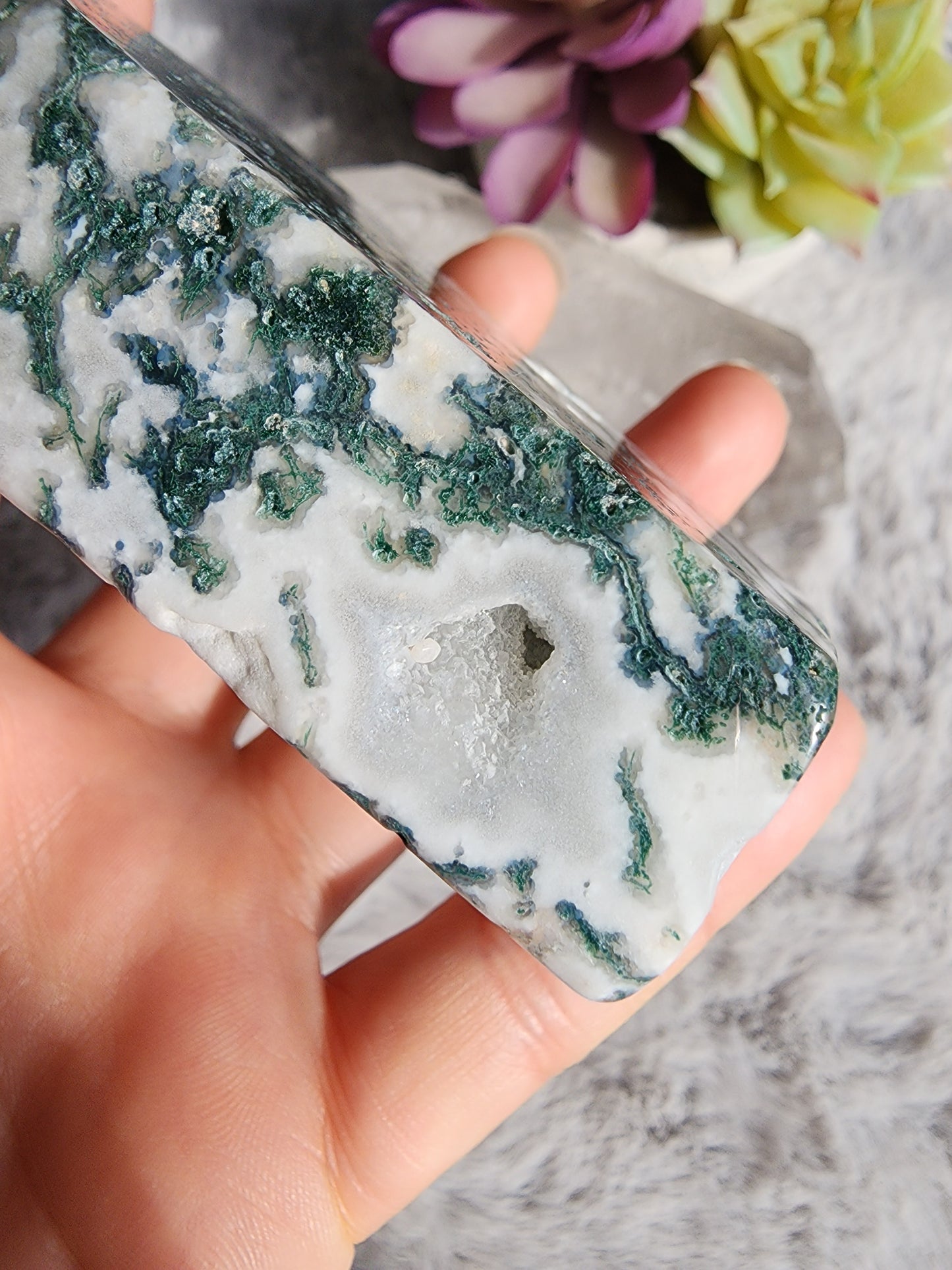 Tree Agate Coffin