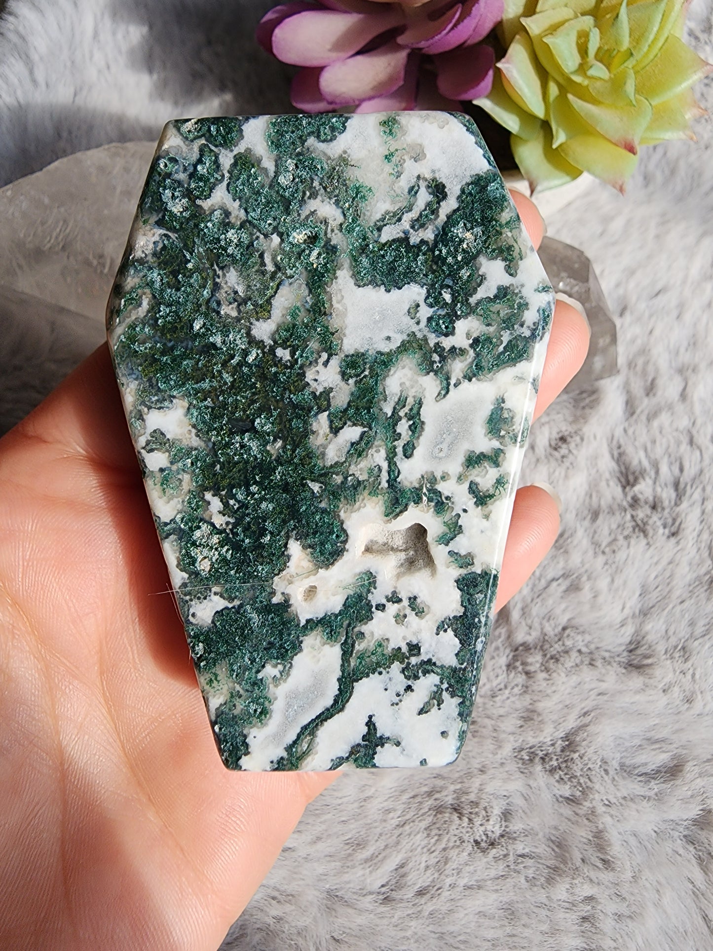 Tree Agate Coffin