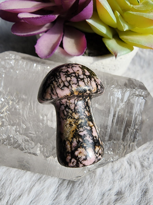 Rhodonite Mushroom