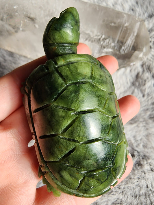 Serpentine Turtle